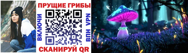 Галлюциногенные грибы мицелий  Канаш 